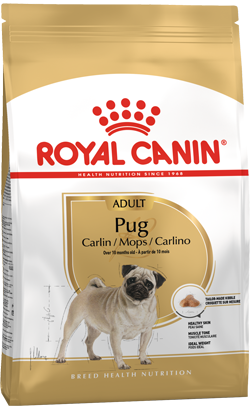 Royal Canin Pug Adult – imagem secundária 1