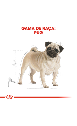 Royal Canin Pug Adult – imagem secundária 3