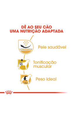 Royal Canin Pug Adult – imagem secundária 4