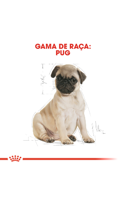 Royal Canin Pug Puppy – imagem secundária 3
