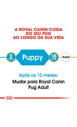 Royal Canin Pug Puppy – imagem secundária 4