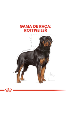 Royal Canin Rottweiler Adult – imagem secundária 3