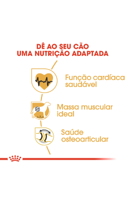 Royal Canin Rottweiler Adult – imagem secundária 4