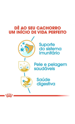 Royal Canin Shih Tzu Puppy – imagem secundária 4