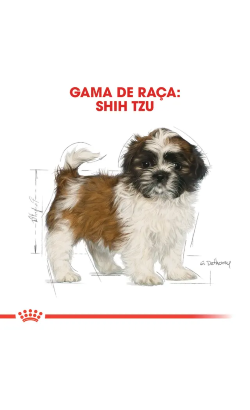 Royal Canin Shih Tzu Puppy – imagem secundária 6