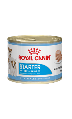 Royal Canin Starter Mousse – imagem secundária 1
