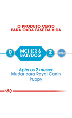 Royal Canin Starter Mousse – imagem secundária 2