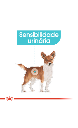 Royal Canin Urinary Care – imagem secundária 2