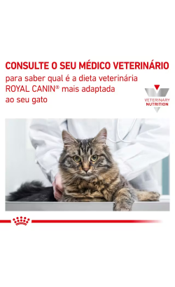 Royal Canin Vet Dental Feline – imagem secundária 2