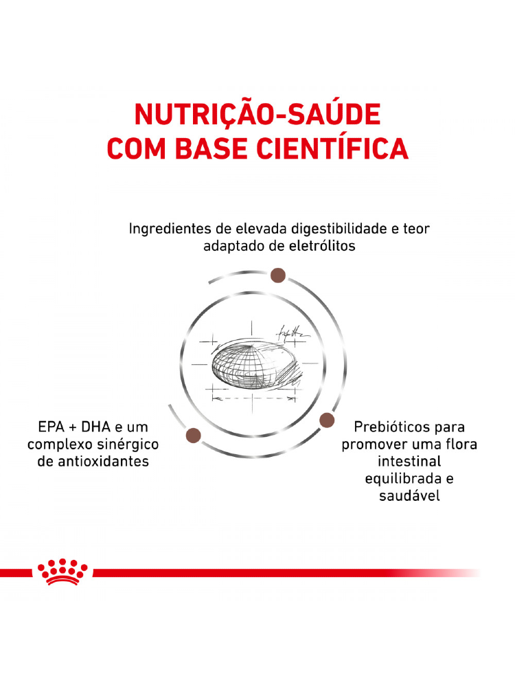 Royal Canin Vet Gastrointestinal Canine – imagem secundária 3