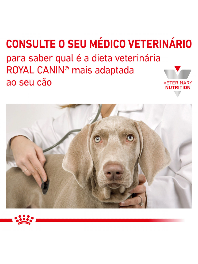 Royal Canin Vet Gastrointestinal Canine – imagem secundária 7