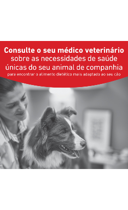 Royal Canin Vet Glycobalance Canine (Diabetic) – imagem secundária 3