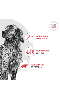 Royal Canin Vet Glycobalance Canine (Diabetic) – imagem secundária 5