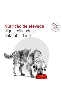 Royal Canin Vet Glycobalance Canine (Diabetic) – imagem secundária 6