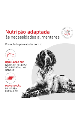 Royal Canin Vet GlycoBalance (Diabetic) in Loaf – imagem secundária 3