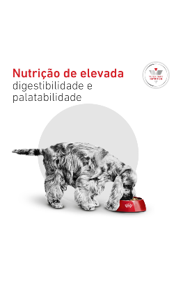 Royal Canin Vet Glycobalance Small Dogs (Diabetic) – imagem secundária 5