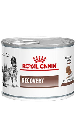 Royal Canin Vet Recovery Canine & Feline – imagem principal