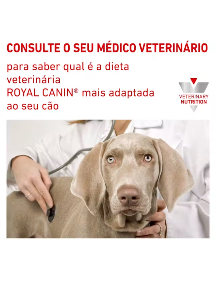 Royal Canin Vet Urinary S/O Ageing 7+ Canine – imagem secundária 6