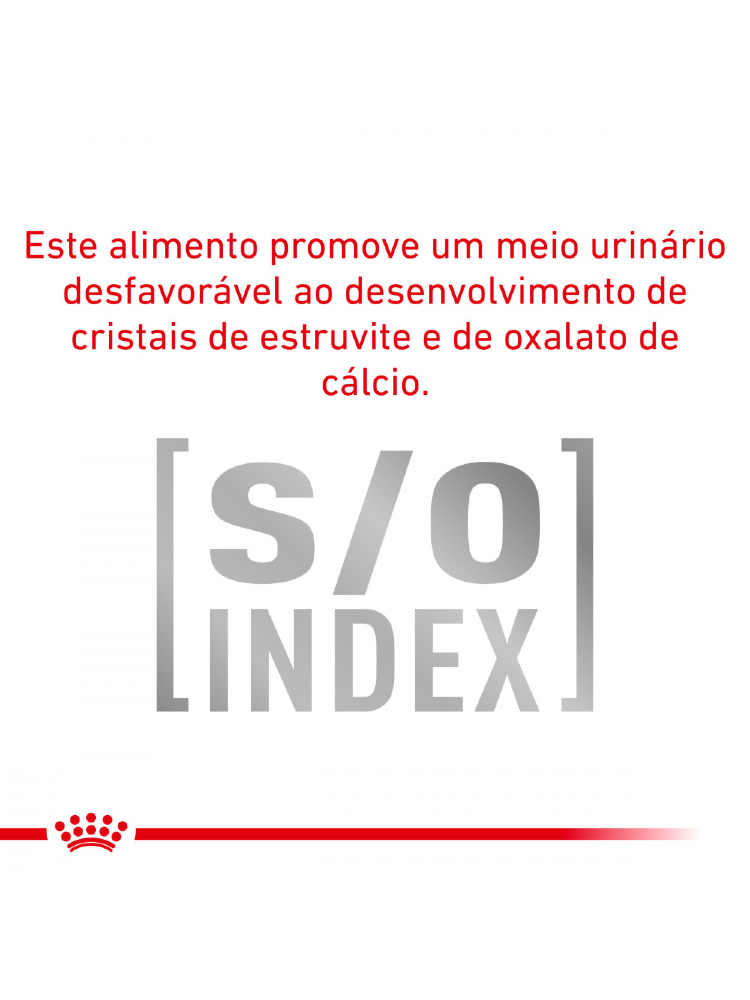 Royal Canin Vet Urinary S/O Ageing 7+ Canine in Loaf – imagem secundária 3