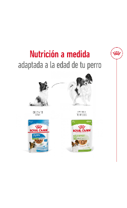 Royal Canin X-Small Adult – imagem secundária 4