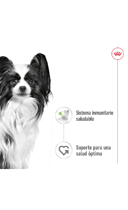 Royal Canin X-Small Adult – imagem secundária 6