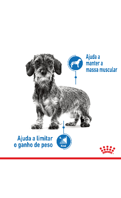 Royal Canin X-Small Light Weight Care – imagem secundária 2