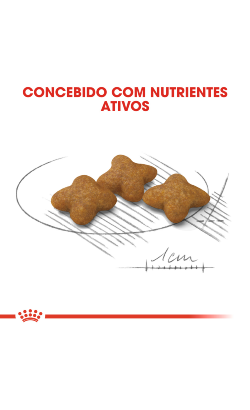 Royal Canin X-Small Sterilised – imagem secundária 5