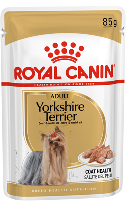 Royal Canin Yorkshire Adult in Loaf – imagem secundária 1