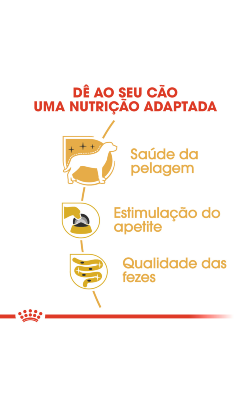 Royal Canin Yorkshire Adult in Loaf – imagem secundária 4