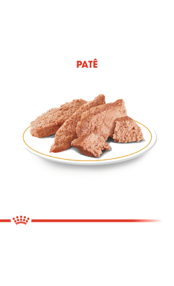 Royal Canin Yorkshire Adult in Loaf – imagem secundária 5