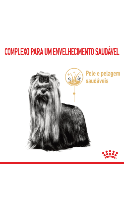 Royal Canin Yorkshire Terrier Adult Ageing 8 + – imagem secundária 2