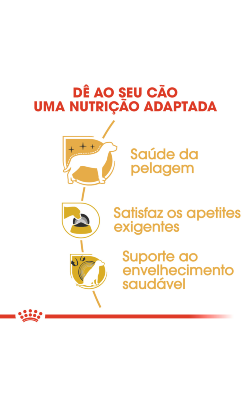 Royal Canin Yorkshire Terrier Adult – imagem secundária 4