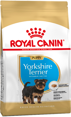 Royal Canin Yorkshire Terrier Puppy – imagem secundária 1