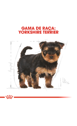 Royal Canin Yorkshire Terrier Puppy – imagem secundária 3