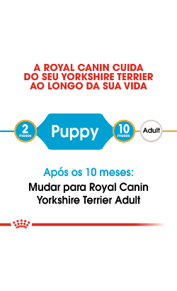 Royal Canin Yorkshire Terrier Puppy – imagem secundária 4