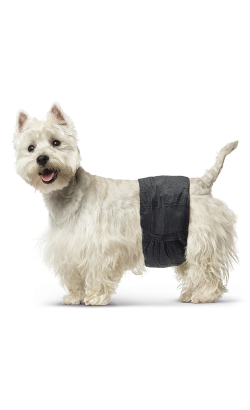 Savic Fraldas Descartáveis Nappy para Cão Macho – imagem secundária 5