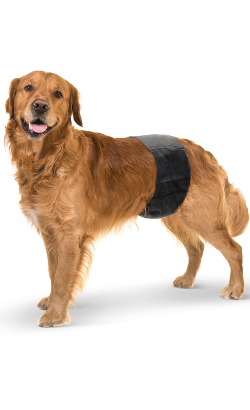Savic Fraldas Descartáveis Nappy para Cão Macho – imagem secundária 7
