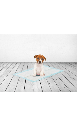 Savic Tapetes para cão Puppy Trainer Pads | M – imagem secundária 5