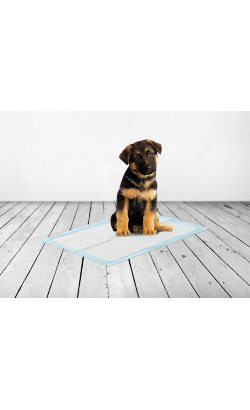 Savic Tapetes para cão Puppy Trainer Pads | XL – imagem secundária 1