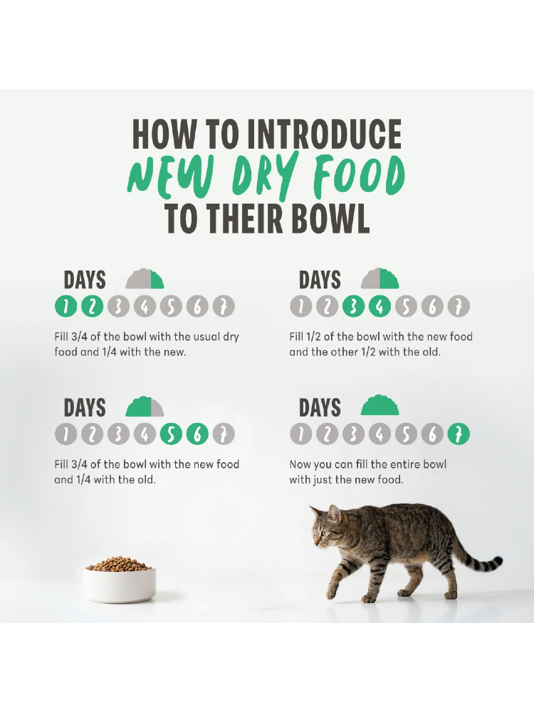 Schesir Cat Sterilized Monoprotein Formula with Chicken – imagem secundária 3