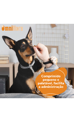 Suplemento para Cão Omniflora Comprimidos – imagem secundária 2