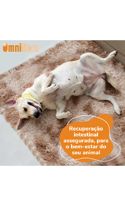 Suplemento para Cão Omniflora Comprimidos – imagem secundária 3