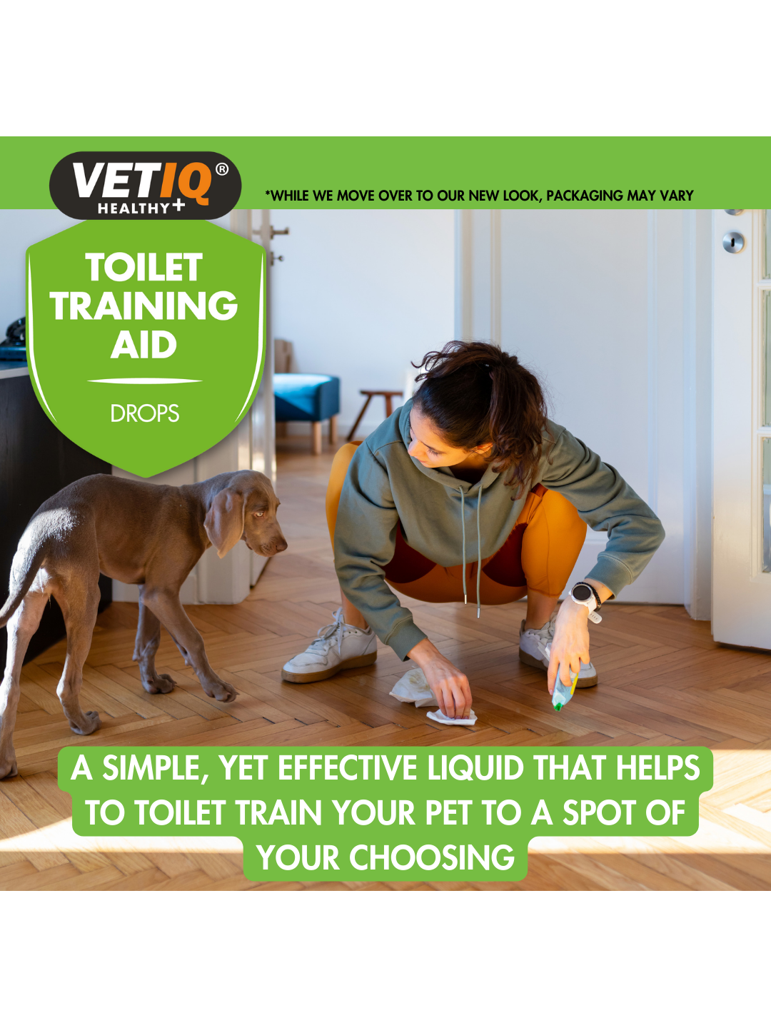 Pt Qualifications VetIQ Toilet Training Aid Drops for Dogs & Puppies | Meganimal