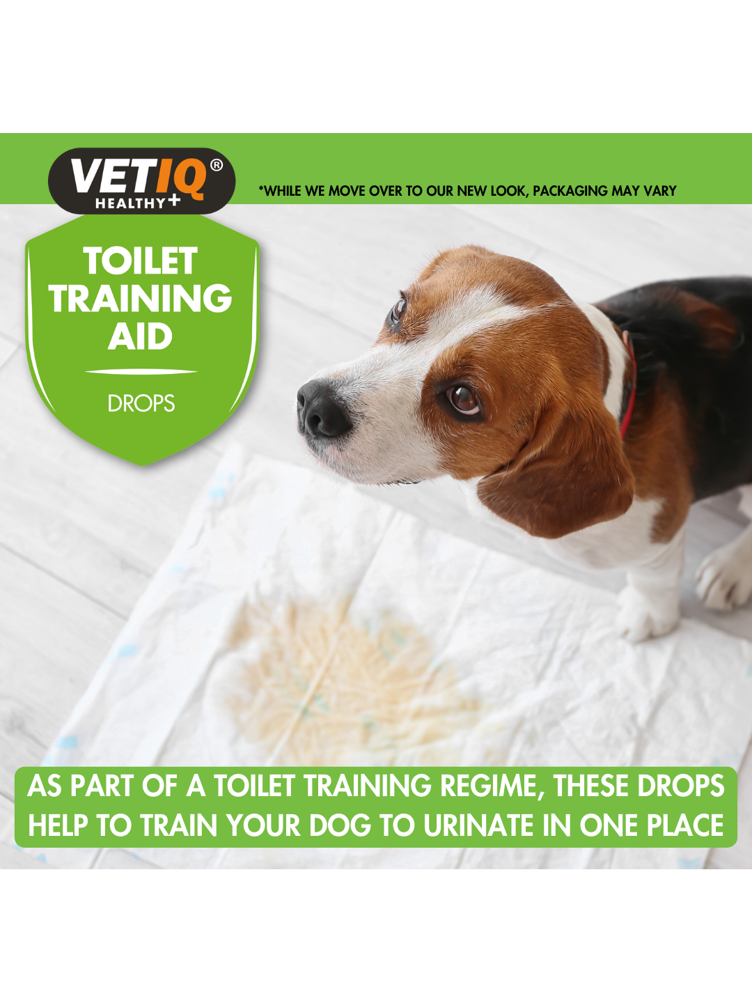 VetIQ Toilet Training Aid Drops for Dogs & Puppies – imagem secundária 4