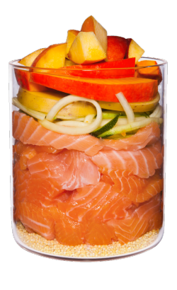 Terra Canis Salmão com Milhete, Pêssego e Ervas – imagem secundária 1