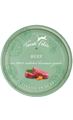 Terra Felis Bovino – imagem principal