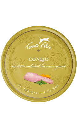 Terra Felis Coelho – imagem principal