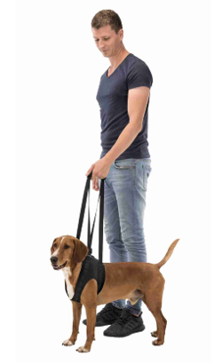 Trixie Arnés de Reabilitação - Apoio para Caminhar para cão – imagem secundária 1