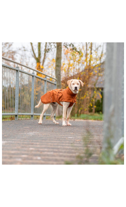 Trixie Capa Citystyle Dublin p/ Cães | Ferrugem – imagem secundária 10