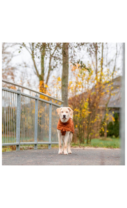 Trixie Capa Citystyle Dublin p/ Cães | Ferrugem – imagem secundária 9